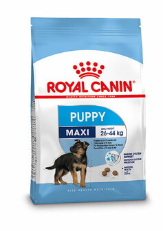 Royal Canin SHN Maxi Puppy 4 kg