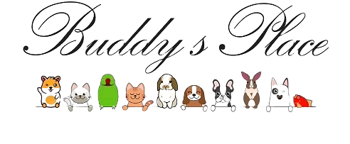 Buddy's place, De webshop voor al uw huisdieren